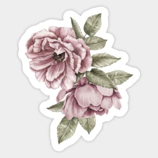 Two Dusty Pink Roses Sticker